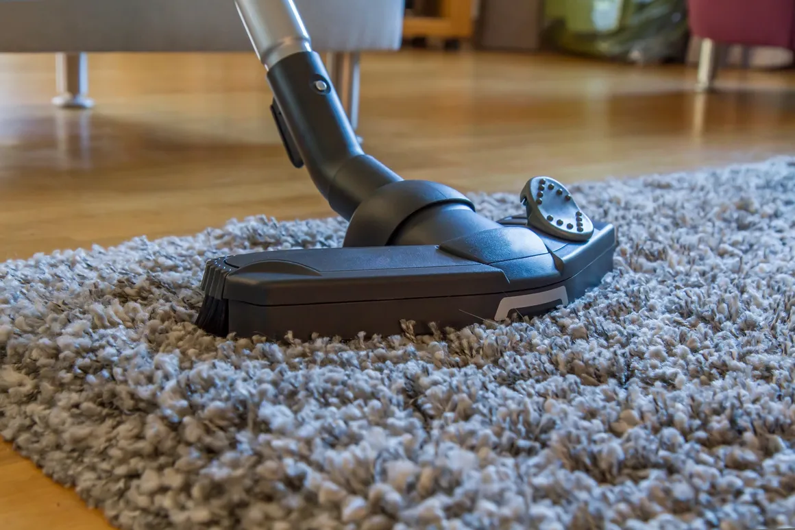 Professional deep carpet vacuuming and cleaning